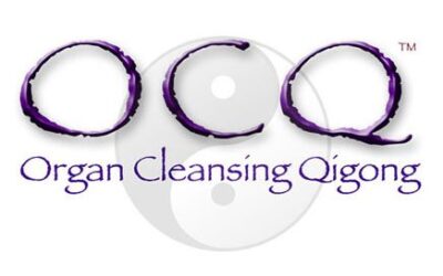 Organ Cleansing Qigong Instructor Certification – Palm Coast, FL – 5-day Course with Francesco