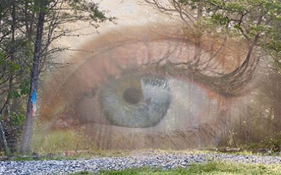 Seeing Beyond Seeing Within – Audio Guided Meditation